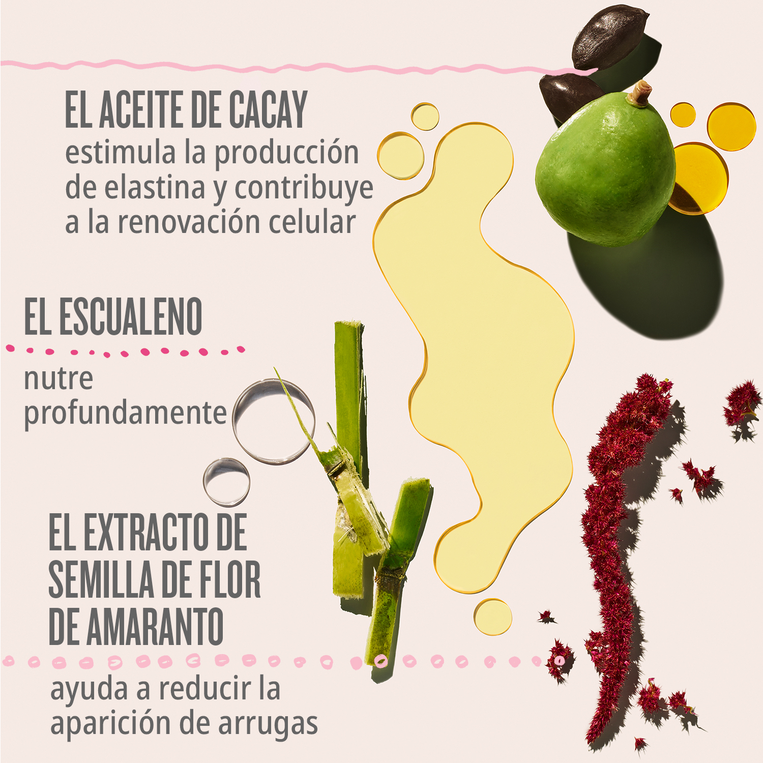 BEIJA FLOR™ ELASTI-BODY OIL (ACEITE CORPORAL LIGERO)